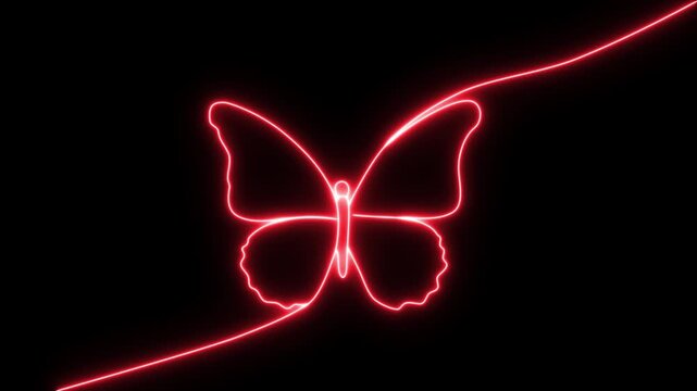 Neon Butterfly, one line drawing animation, video clip with alpha channel.Butterfly drawing with one continuous line. Single line design of beautiful butterfly for business, social media.4k video