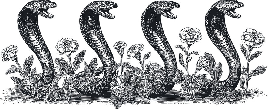 Vintage engraving of four standing cobras among flowering plants detailed botanical illustration