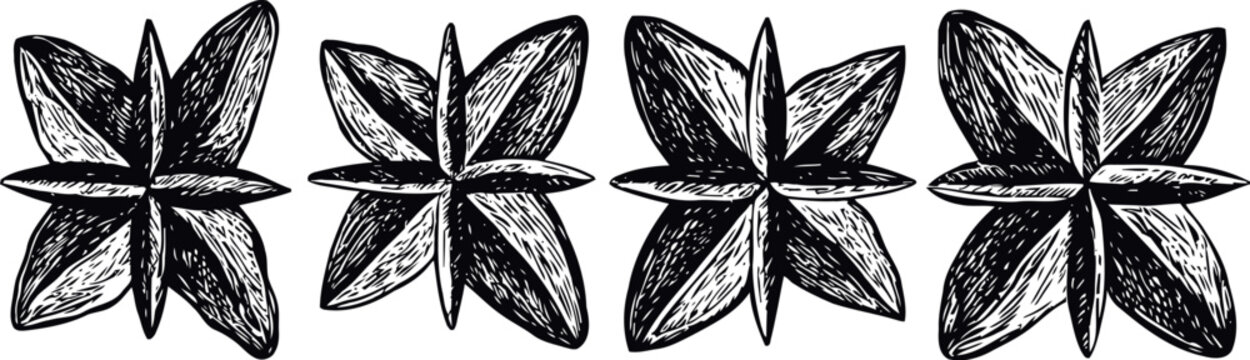 Hand drawn star anise illustration spices set with detailed sketch design