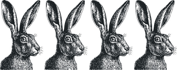 Obraz premium detailed vintage engraving of four rabbit profiles with attentive expressions