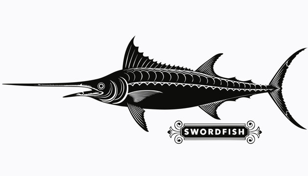 Very beautiful black-and-white engraved vector illustration featuring SWORDFISH with elongated bill and streamlined body, detailed marine textures, and decorative label reading "SWORDFISH", isolated o