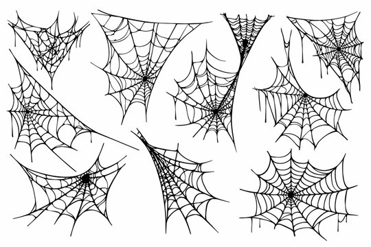 Stylized Collection of Spider Web Patterns Vector Illustration