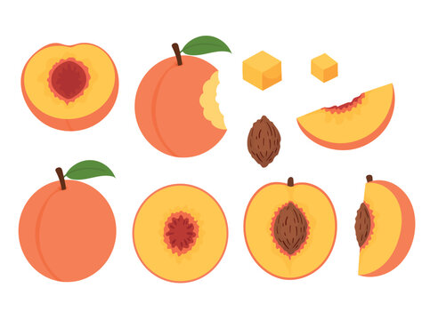 Set of peach or apricot fruit illustrations featuring whole peaches, sliced halves, wedges, cubes, pits, and bitten peach pieces. Flat vector collection isolated on a white background.