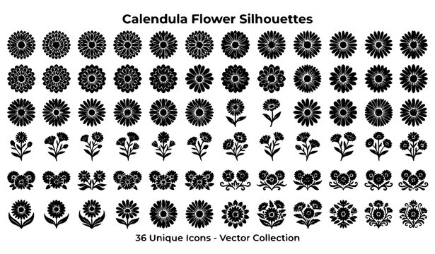 Elegant Calendula Flower Silhouette Set Featuring Botanical Blossoms and Decorative Floral Elements for Creative Commercial Use