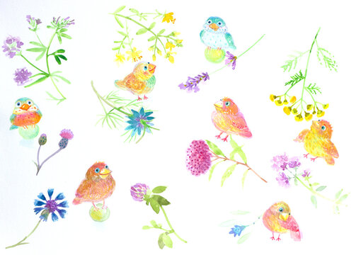  birds, bird, happy , fun , funny, cute, flower,nnature,fantasy,textil