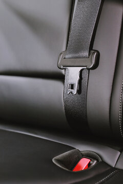 seat safety belt in car for safety before driving on the road. concept transport travel.	