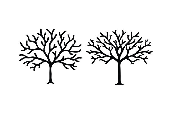 Bare winter tree silhouettes and branching decision line art tree vectors