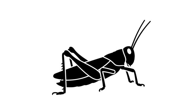 Black silhouette of a grasshopper insect.