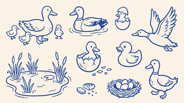 Cute duck character in whimsical minimalist doodle style, clean black line art vector illustration of waterfowl animal, isolated graphic design element for coloring or logos.