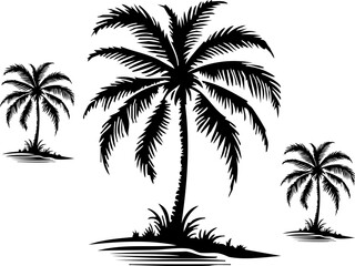 Fototapeta premium Set of Three Palm Tree Silhouettes on White Background Tropical Beach Plants