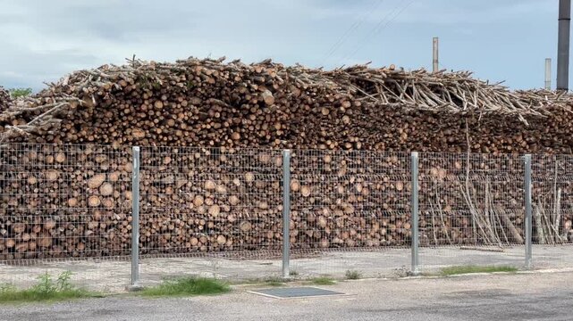 Panning shot of a massive stack of cut wood logs and tree trunks stored behind a fence at a timber processing facility with industrial smokestacks in Thailand.
