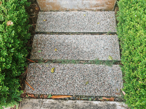 A high-angle commercial stock photograph capturing a textured wash stone aggregate walkway path flanked by neatly manicured green hedges