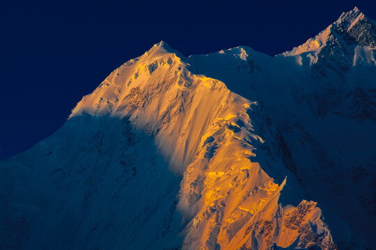 View of the snow-capped Rakaposhi mountain peak illuminated by golden sunset light against a deep blue sky Karimabad, Gilgit, Pakistan.