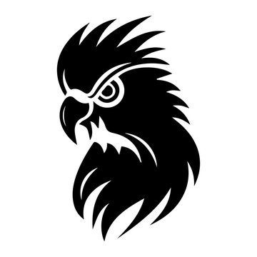 Fierce Cockatoo Bird Head