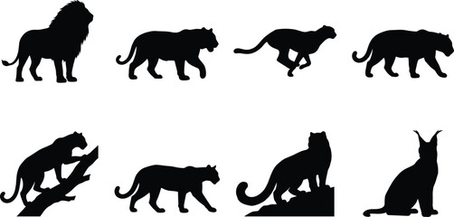 Obraz premium Silhouette Collection of Big Cats in Distinctive Wildlife Poses