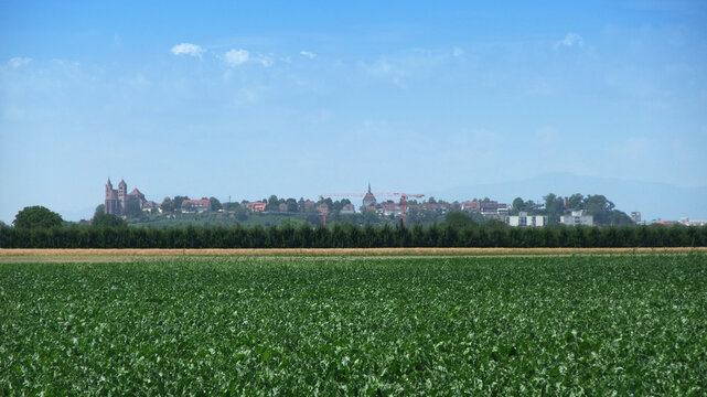 Rural Landscape with Distant Town Skyline