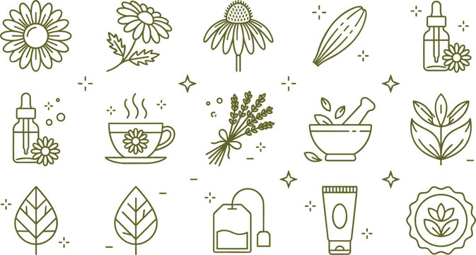 Herbal medicine and natural cosmetics line icon vector set featuring chamomile lavender essential oil dropper tea cup mortar pestle leaves for wellness skincare branding