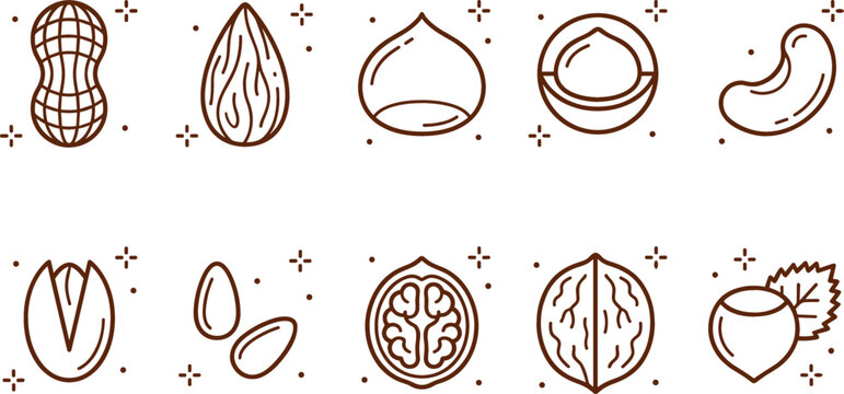 Nuts and seeds line icon vector set featuring peanut almond macadamia cashew pistachio walnut and hazelnut graphics for healthy food snack and vegan diet design elements