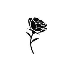 Obraz premium Black Silhouette of a Single Rose.