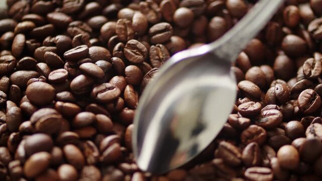 Spoon scooping roasted brown coffee beans from a pile. Close up texture of fresh aromatic arabica coffee beans with a silver spoon. Taking coffee beans from a pile with a spoon.