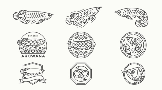 Arowana fish line art collection with various poses and emblem designs.