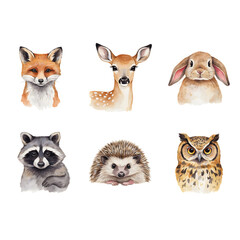 Fototapeta premium Wild animals gathered in a group portrait include a fox, deer, rabbit, raccoon, hedgehog, and owl painted in a soft artistic style.