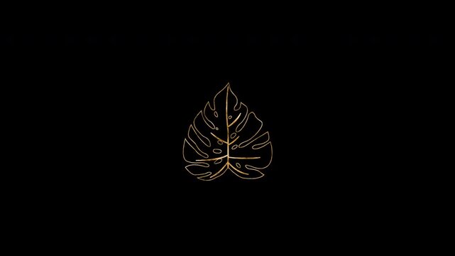 Gold Floral Outline Monstera Leaf shimmering transparent for luxury design projects Animation