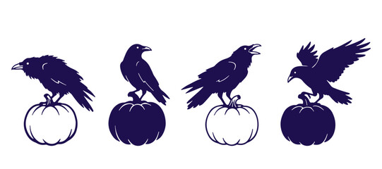 Obraz premium Black ravens sitting on pumpkins halloween vector illustration