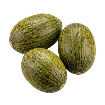 Three ripe Piel de Sapo melons isolated on white background, healthy food
