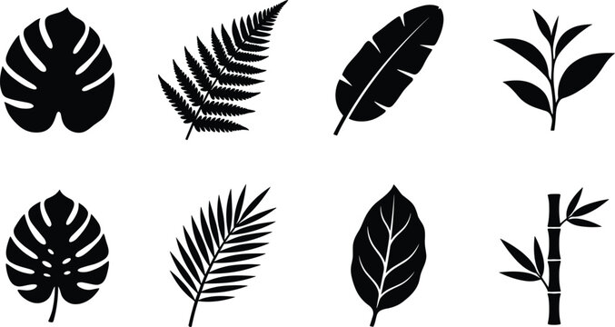 Set of black silhouette tropical plant vector icons featuring monstera fern banana leaf palm frond bamboo and botanical leaves for nature graphic design