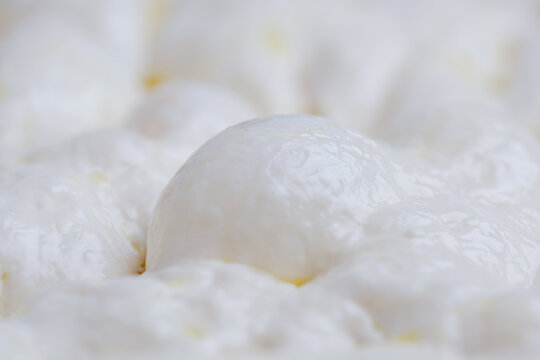 Close up naturally fermented sourdough focaccia dough during the final proofing stage. The dough surface is filled with air bubbles traditional natural leavening techniques.