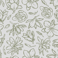 seamless magnolia pattern featuring detailed hand drawn flowers, buds, and branches in vintage botanical engraving style. for textile prints, wallpaper, wrapping paper, surface pattern design, station © Elen_K.6