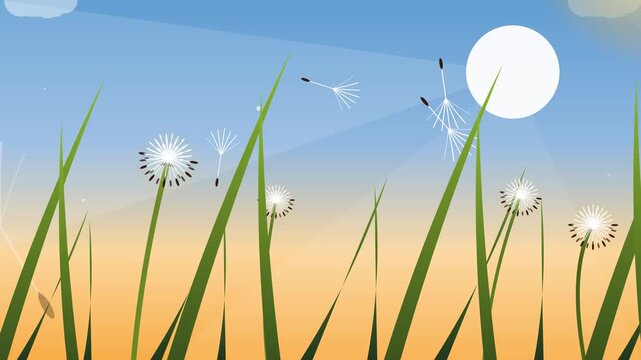 Abstract Dandelion Seed Animation in Summer Field
