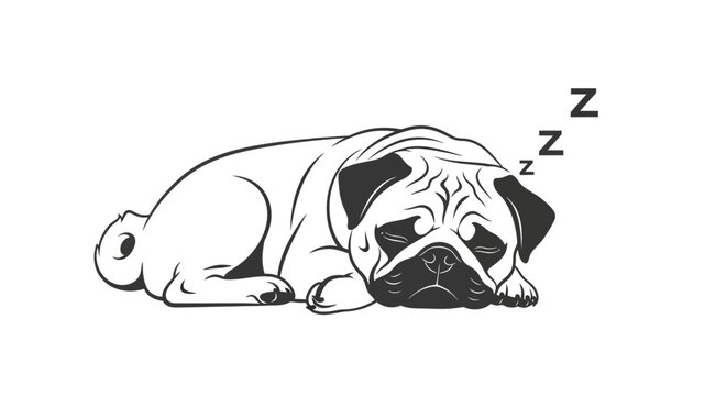 Sleeping pug dog with Zzz symbols in minimalist black white