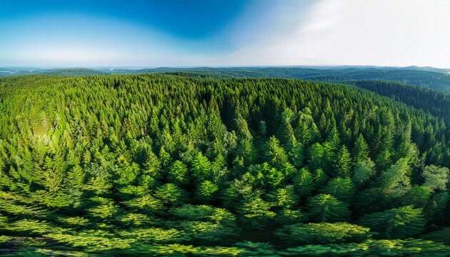 arial veiw of green forest drone shot