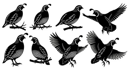 Set of Diverse Quail Poses: Perching, Standing, and Flying Birds © Navira