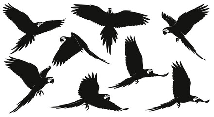 Set of Flying Parrots Silhouettes: Macaws in Dynamic Flight Poses © Navira