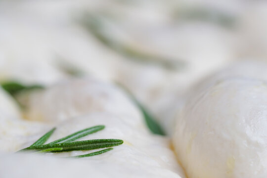 Macro close-up of naturally fermented sourdough focaccia dough topped with fresh rosemary and olive oil. Concept traditional bread making, homemade baking, and natural leavening techniques