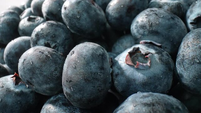 Fresh blueberry collection photographed, highlighting natural beauty and juicy fruit quality. Represents superfoods, healthy nutrition, seasonal harvests, and farm-to-table food concepts. 4k.
