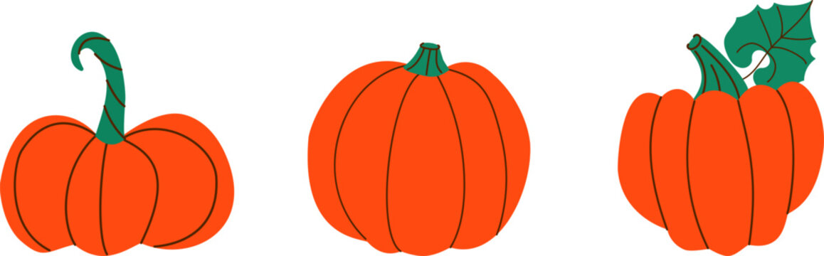 Hand drawn orange pumpkins set isolated on white background. Doodle vector illustration of autumn ripe vegetables for halloween, thanksgiving day, fall harvest design.