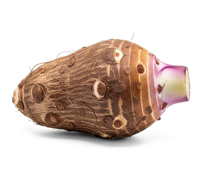 A taro root rests on a transparent background. The root has a rough, textured brown exterior with purple markings at the top.