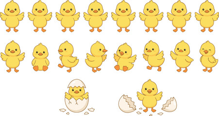 Fototapeta premium Cute Cartoon Yellow Chick Poses Set with Little Baby Newborn Birds Hatching From Egg Shell Vector Illustration for Easter and Kids Designs