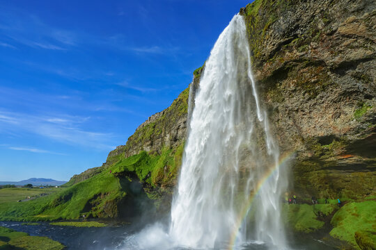 A powerful waterfall cascades down a rocky cliff into a pool below, surrounded by green hills under a clear blue sky,Seljalandsfoss,Iceland