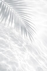 Obraz premium Serene palm shadow water reflection
