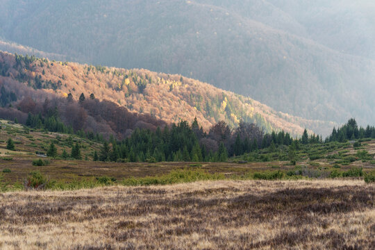 Romanian mountain ladscape (m. Mic)