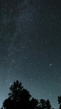 Vertical Shot of Milky Way Galaxy Andromeda and Perseid Meteor Shower in Northeast Sky Over Forest Astrophotography Time Lapse California USA