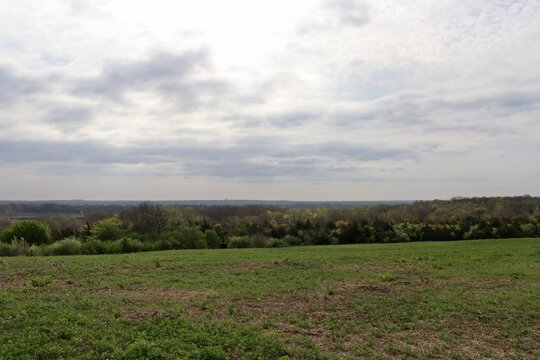 The grass landscape in the country on a cloudy day.