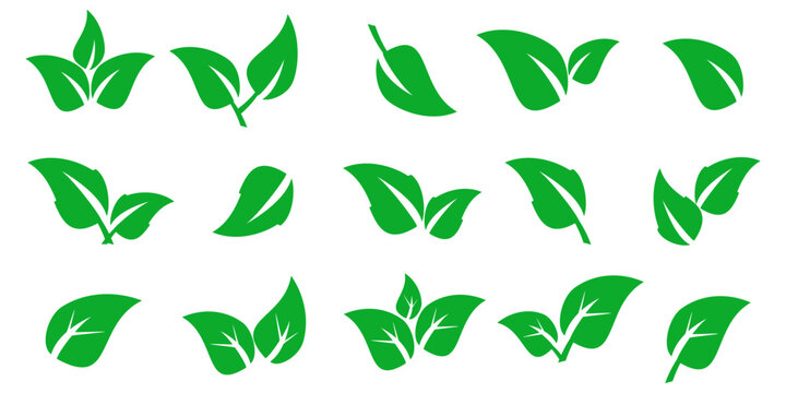 Leaf vector symbol, leaf illustration or leaf emoji in flat style. Spring leaf design, ecological nature theme.	