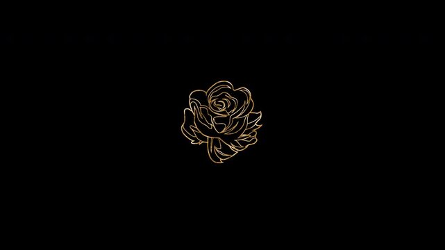 Gold Floral Outline Transparent blossoming rose flower Animation
