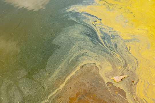 A mixture of colors creates swirling patterns on the surface of the water. The scene highlights the interaction between natural elements and potential pollution